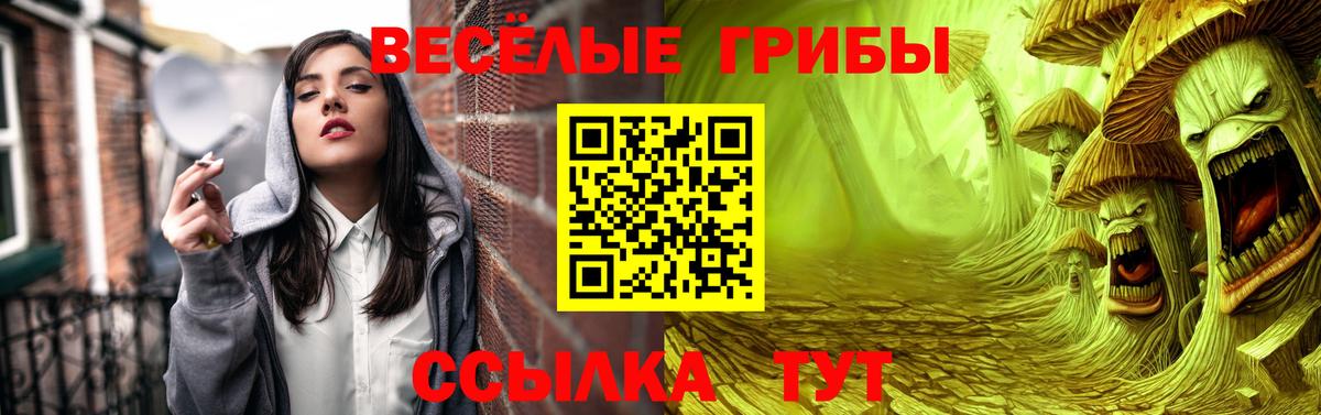 Галлюциногенные грибы Psilocybine cubensis Краснознаменск